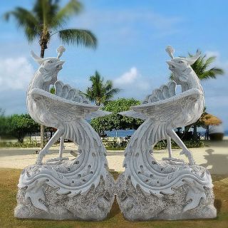 關(guān)于五色鳳凰的簡(jiǎn)單介紹